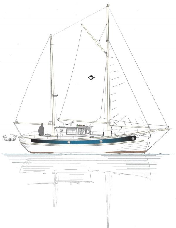 Camarone 40 Downloadable Study Plans