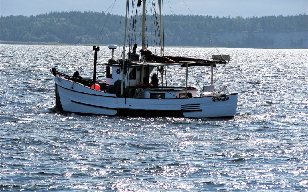 Josephine for Sale – $26,000 Price Drop!