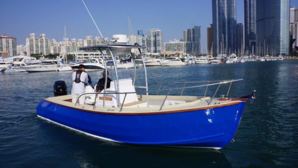 Devlin Gannet 25 power cruiser