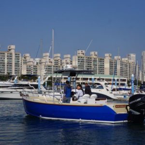 Devlin Gannet 25 power cruiser