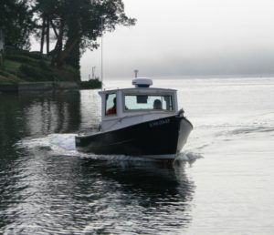 Pelicano Shrimper