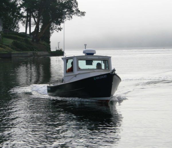 Pelicano Shrimper