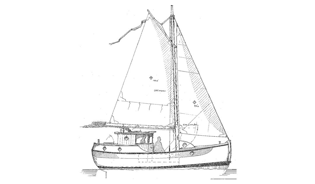 Oysta 25