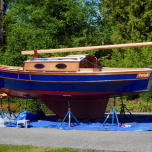 Song Wren 21 product image