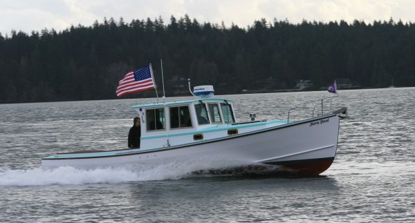 Storm Petrel 33 Study Plans - Image 4